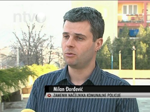 Milan Đorđević, NTV