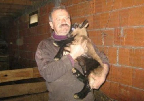 Zoran Stevanović uspešan kozar iz sela Stubla