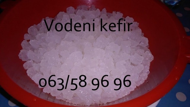 Vodeni kefir Tibicos, Japanski kristali, količina za 2L