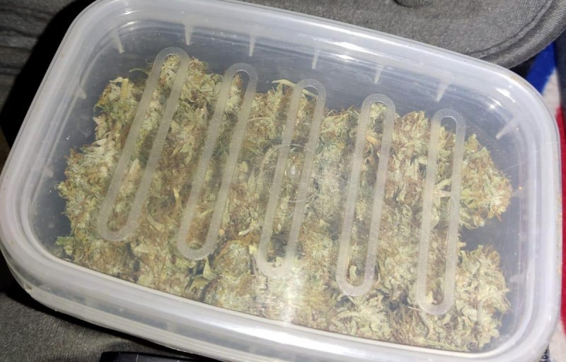 У Нишкој Бањи откривена импровизована лабораторија за узгој марихуане (ФОТО)