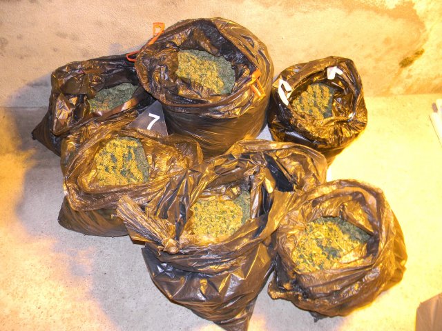 У викендици крај Ниша пронађено 90 килограма марихуане и муниција за оружје