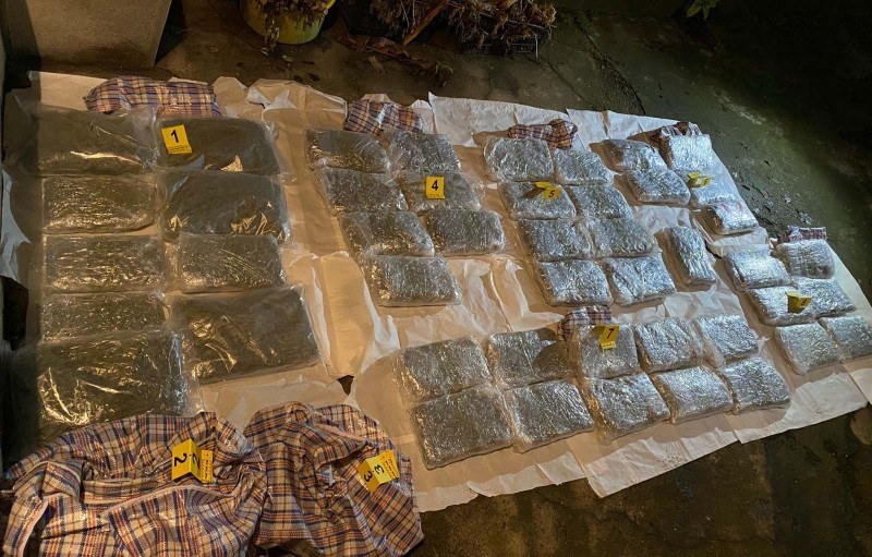 Претресом станова организоване групе у Нишу, пронађено 80 килограма марихуане