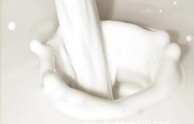 Влада повећава највишу малопродајну цену млека – максимално 129 динара, ипак пракса показује дугачије