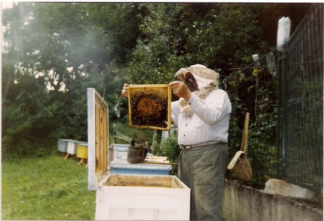 pčelar na pčelinjaku