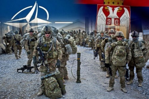 Владимир Кршљанин: НАТО оргија у Србији!