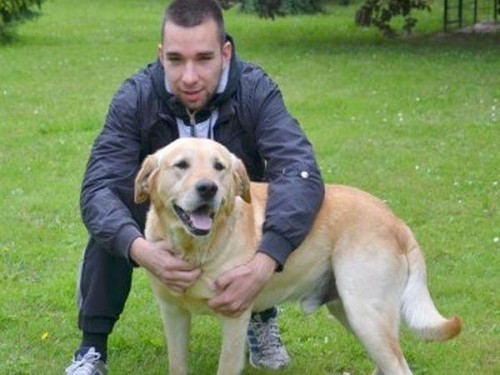 Kuršumlija: Hrabri pas spasao gazdu zarobljenog ispod traktora