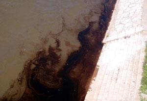 Нафтна мрља у Нишави