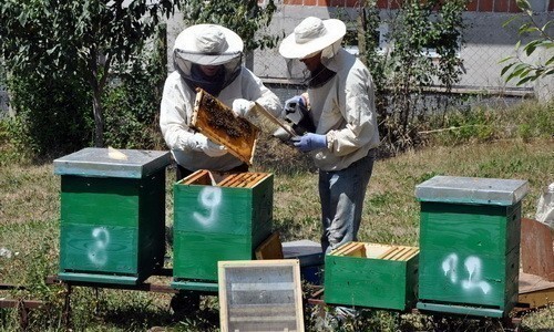 Predavanje za pčelare