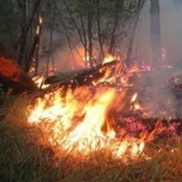 Požar između Vranja i Leskovca pod kontrolom