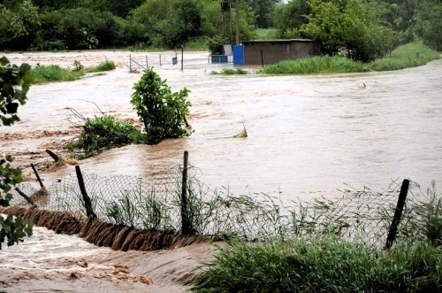 Procenjena šteta od poplava u opštini Ražanj 36 miliona dinara