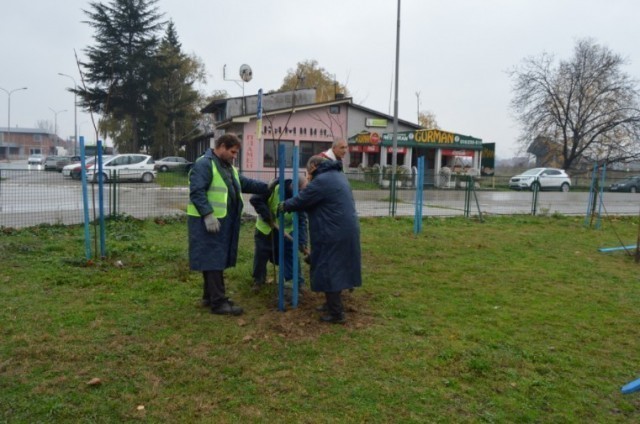 Јесења садња скоро 400 младих стабала у Лесковцу