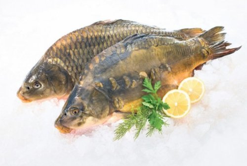 Muke ribočuvara u okolini Niša: Sve više ribokradica zbog Svetog Nikole