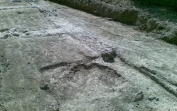 Otkrivena nekropola stara oko 4 hiljade godina