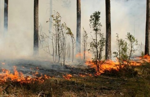 Požar na minskom polju kod Bujanovca