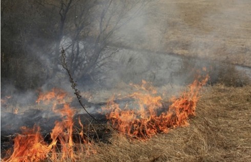 У Топличком округу 29 пожара за три дана