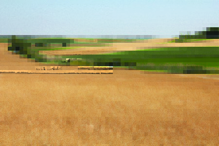 Opština Blace daje plodnu zemlju u zakup