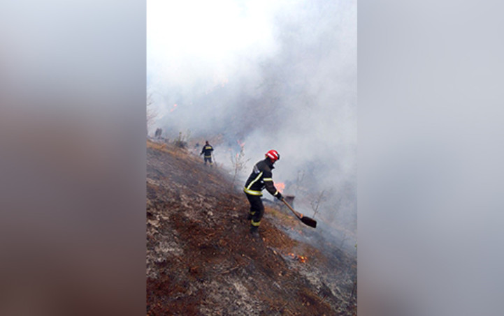 Због пожара растиња ванредна ситуација у општини Трговиште - пожар гасило 26 ватрогасаца са 10 ватрогасних возила