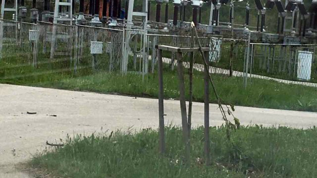 Нема одмора за вандале, поново поломљене саднице дрвореда у Куршумлији