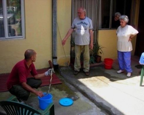 Змије у Нишу уклањају волонтери
